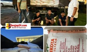 Picsart_23-05-29_13-38-13-718