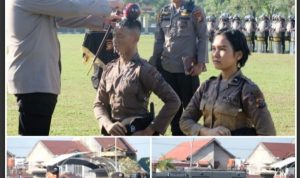 Picsart_23-05-31_15-37-57-418