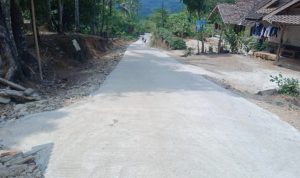 IMG-20240820-WA0239