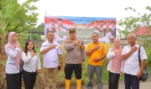 IMG-20241120-WA0336