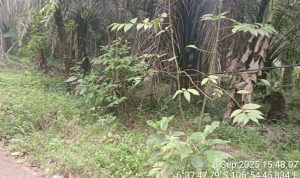 IMG-20250909-WA0047