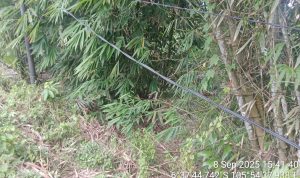 IMG-20250909-WA0051
