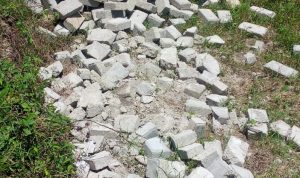 IMG-20251004-WA0008