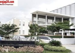 Picsart_23-12-04_20-35-37-162